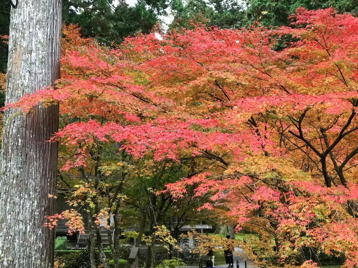 Ohara Sensui Surrounded By Beautiful Nature Villa Kioto Exterior foto